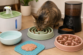 Best Food & Water Products for Cats That Eat Too Fast