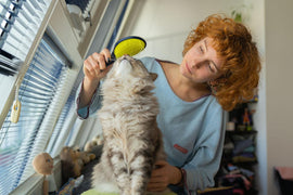 What pet supplies help reduce shedding in dogs and cats?