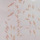 Live Adult Brine Shrimp (Artemia) - Perfect for Fish Food