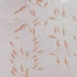 Live Adult Brine Shrimp (Artemia) - Perfect for Fish Food