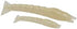 Get Thumped 3-Pack, Premium Soft Shrimp Bodies for Saltwater Fishing - Unrigged Lifelike Bait Perfect for Inshore