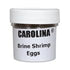 1 Oz Brine Shrimp (Artemia) Eggs