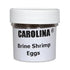 1 Oz Brine Shrimp (Artemia) Eggs