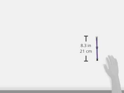 Guardian Gear Nylon Two-Tone Dog Collar, Purple, Fits Necks 6" to 10"
