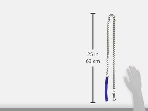Dog Leash - 4' x 1/8" Chain Pet Leash with Locking Clasp & Double-Stitched Nylon Handle
