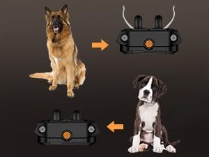 PATPET Replacement Prongs and Silicone Covers for P Collar 910 920