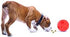 Omega Paw Tricky Treat Ball - Medium, Orange