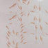 Live Adult Brine Shrimp (Artemia) - Perfect for Fish Food