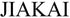 JIAKAI 20 Pcs 38MM Blank Bone Shape Pet ID Tag Charm, Double Sided Personalized Dog Cat Name Phone Number (Random
