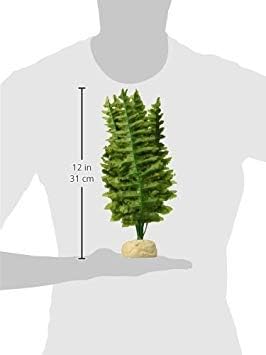 Exo Terra Boston Fern Terrarium Plant, Medium, for Reptiles and Amphibians