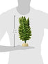 Exo Terra Boston Fern Terrarium Plant, Medium, for Reptiles and Amphibians