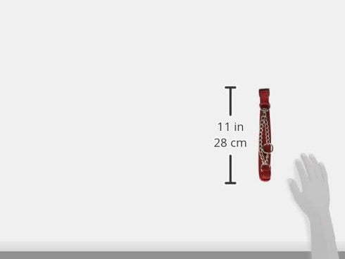 Hamilton Adjustable Combo Choke Collar for Dogs