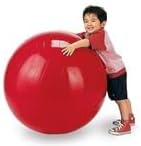 Gymnic Physio Balance Exercise Ball