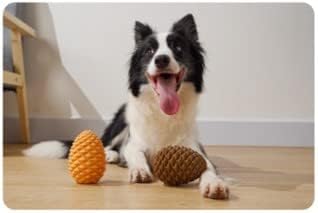 Mewajump Heavy Duty Pinecone Durable Natural Rubber Dental Teeth Cleaning Dog Feeder Chew Toy for Large Medium Dogs