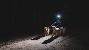 FISHNU 9007-2 Featherlight Mini Light - Single Mode, Convenient for Night Walks