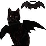 Pet Cat Bat Costume with Bat Wings