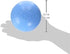Jolly Pets Toys Jolly Bounce-N-Play Dog Toy, Blueberry, 4.5-Inch