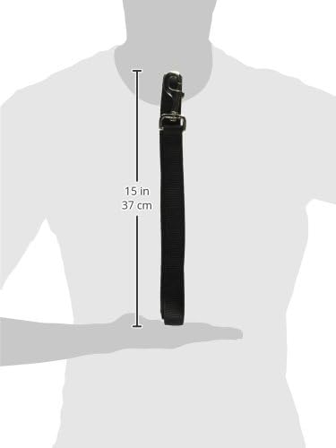 Hamilton Double Thick Nylon Dog Training Lead - 1-Inch by 6-Feet, Black