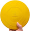 Indestructible Dog Disc, Lifetime Replacement, Heavy Duty Natural Rubber Toy for Medium & Large Breeds
