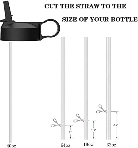 The Mass Wide Mouth Straw Lid, Compatibility with Most Sports Water Bottles