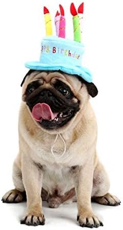 Cute Adorable Dog Cat Birthday Cake Hat, Pet Cap with 5 Color Candles Design, Party Custom Accessory (Pink)