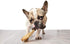 EcoKind Pet Treats Jumbo Cow Ear Dog Treats, 100% All-Natural Beef Chews, 6 Ears
