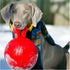 Tug N Toss Jolly Balls 6in Asst