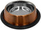 Danner Manufacturing, Inc. Stainless Steel Anti-Skid Pet Bowl, Autumn Orange, 32 Oz, 73030