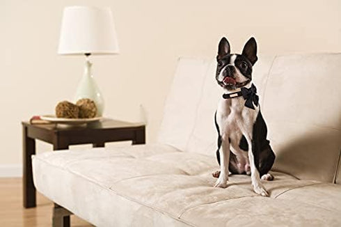 Unique Style Paws Silk Black Color Dog Collar, Adjustable Durable Collar with Bow for X-Large Dogs