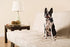 Unique Style Paws Silk Black Color Dog Collar, Adjustable Durable Collar with Bow for X-Large Dogs