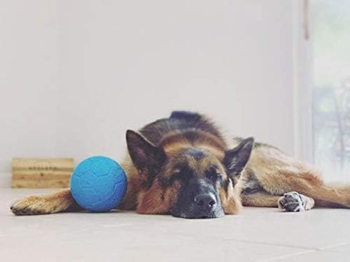 Jolly Pets Medium Soccer Ball Floating-Bouncing Dog Toy - 6 inch Diameter, Ocean Blue