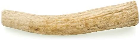 Barkworthies Medium Whole Elk Antler - 1 Count, Naturally Shed, Long-Lasting, Odor-Free