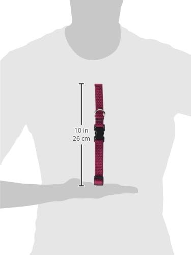 LupinePet Eco 3/4" Berry Adjustable Collar for Medium and Larger Dogs, 13-22"