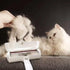 Pet Hair Remover | Portable Lint Roller for Dog & Cat Hair, Eco-Friendly Brush for Couches, Carpet, Bedding & Car