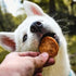 Dog Training Treats, Chicken Chips, Single Ingredient, Healthy All Natural Treats for All Dog Breeds
