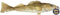 Steel Dog 54400 Walleye with Rope Toy