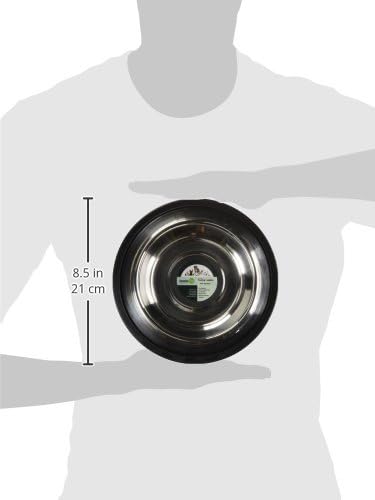ICONIC PET 2 Pack Stainless Steel Non-Skid Pet Food/Water Bowls - 16 oz with Rubber Rings, Rust-Free and Stable