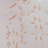 Live Adult Brine Shrimp (Artemia) - Perfect for Fish Food