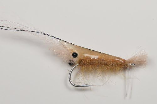 EP Flies EP Grass Shrimp