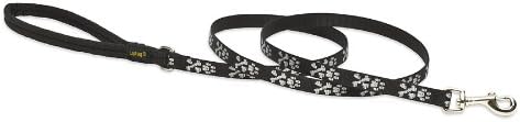 LupinePet Originals 1/2" Bling Bonz 6-foot Padded Handle Leash for Small Pets