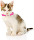 CHUKCHI Heart Bling Cat Collar with Safety Belt and Bell, Adjustable 8-11 Inches