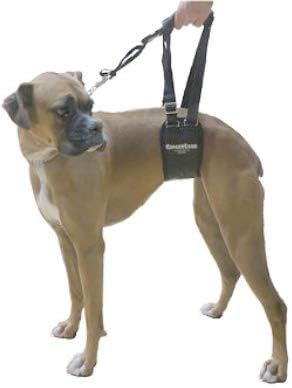 Dog Sling Support Harness, SM Female, Fits Small to Medium Pets, Padded Rear Lifting Aid with Leash