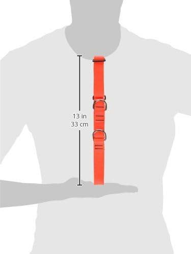 LupinePet Basics Martingale Collar, 1" Wide, Blaze Orange, 19-27" for Large Dogs