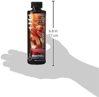 Brightwell Aquatics pH+ - pH Increaser for Marine and Freshwater Aquariums, 250-ml