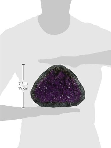 Blue Ribbon EE-1136 Skull Geode Stone Exotic Environments Aquarium Ornament, Purple, 6.5 inch