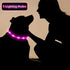 3 Pieces LED Dog Collar Light Up Rechargeable Dog Lights for Night Walking, Adjustable for Large Medium Small Dogs