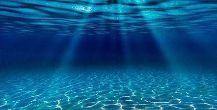 Natural Undersea Aquarium Background, 48X24IN Underwater Ocean Sunlight Fish Tank Background with Tape