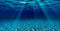 Natural Undersea Aquarium Background, 48X24IN Underwater Ocean Sunlight Fish Tank Background with Tape