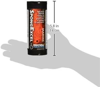 Brightwell Aquatics SpongExcel – Ionic Silica Solution for Marine Aquariums, 125 ml