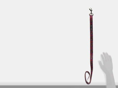 Eco Friendly Van Heemskerck Fashion Dog Leash, 5-Feet Long